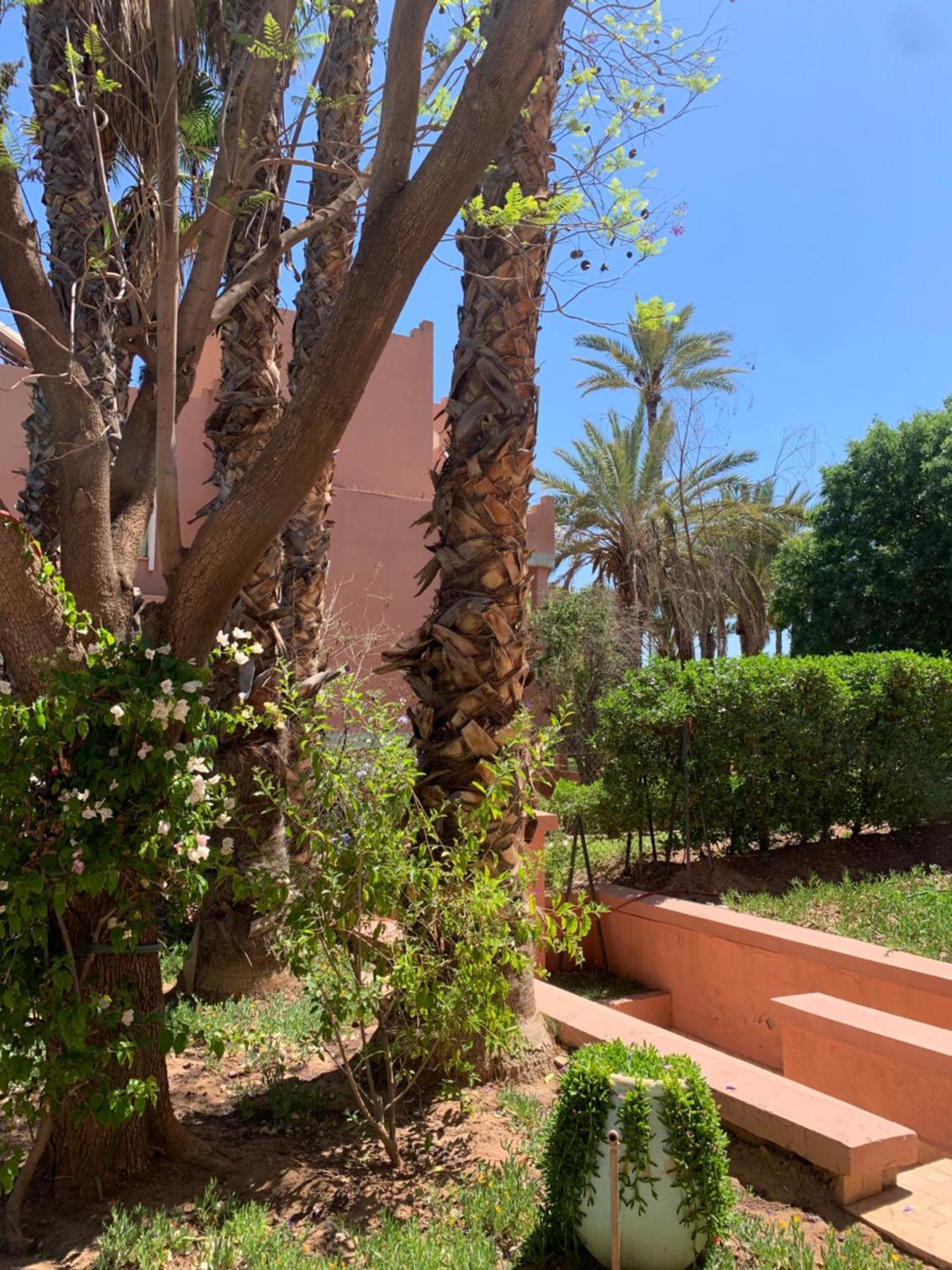 Villa Avec Piscine Privatisee A La Palmeraie Marrakesh Esterno foto