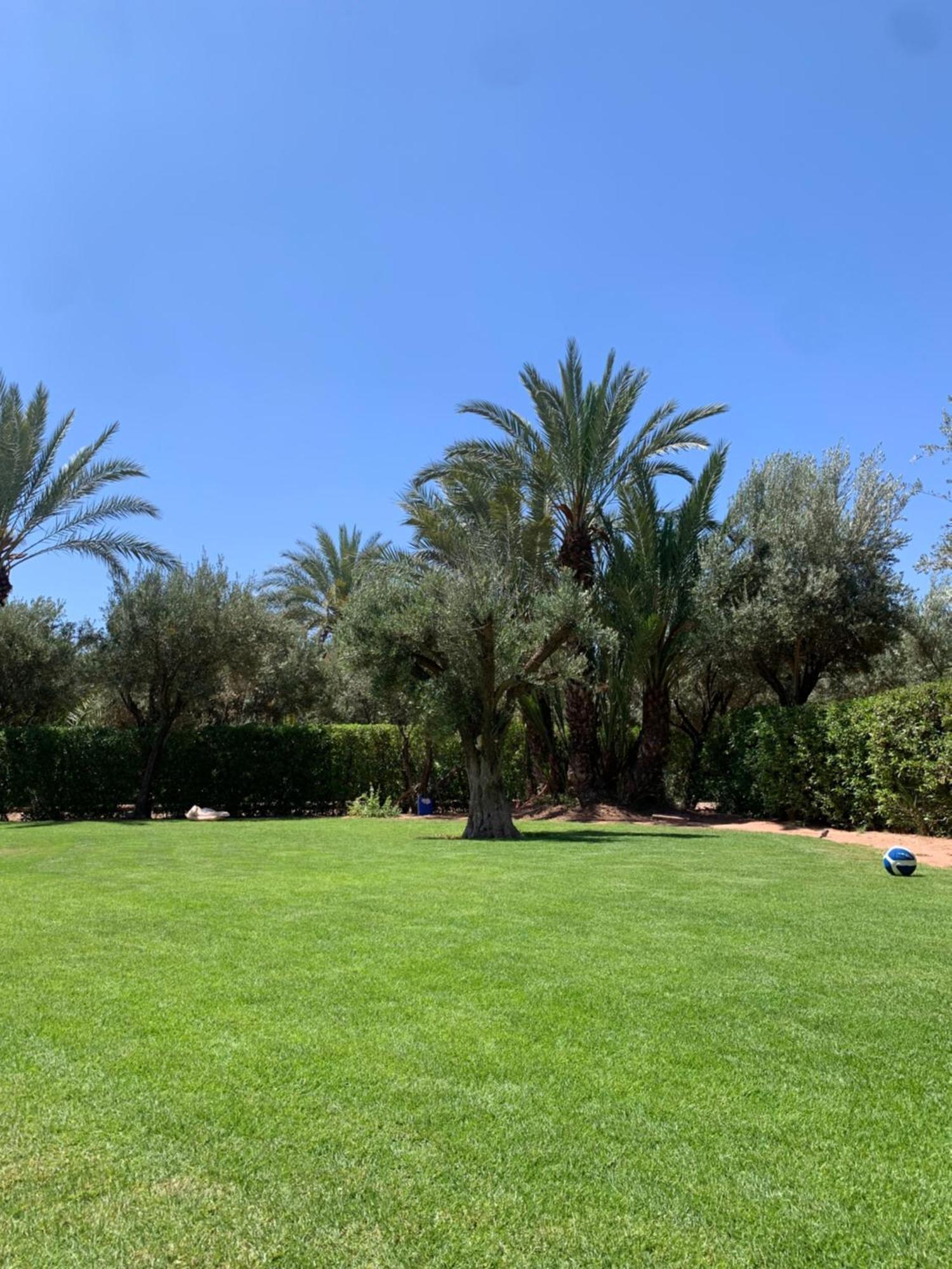 Villa Avec Piscine Privatisee A La Palmeraie Marrakesh Esterno foto