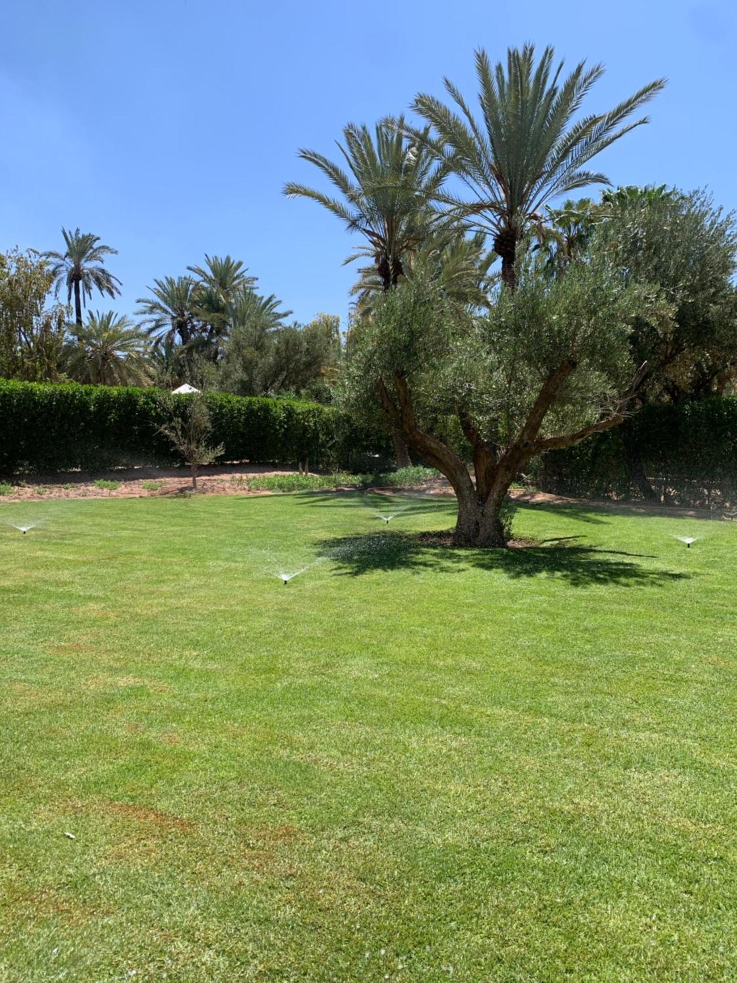 Villa Avec Piscine Privatisee A La Palmeraie Marrakesh Esterno foto