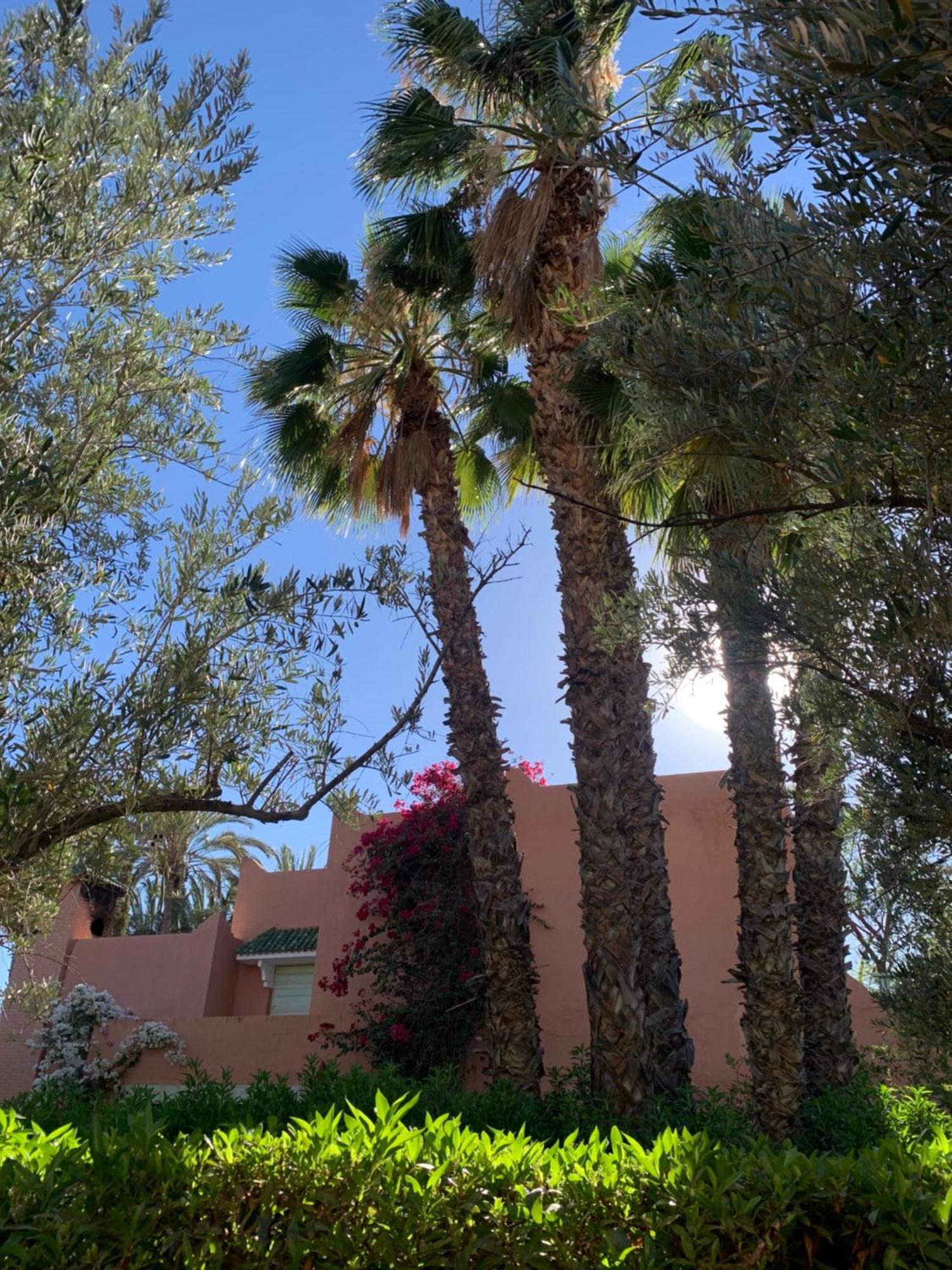 Villa Avec Piscine Privatisee A La Palmeraie Marrakesh Esterno foto