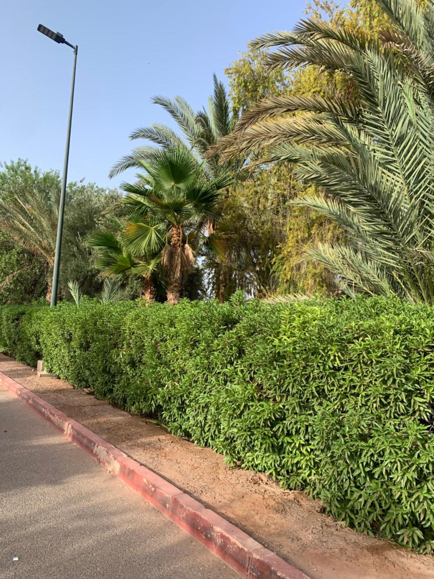 Villa Avec Piscine Privatisee A La Palmeraie Marrakesh Esterno foto
